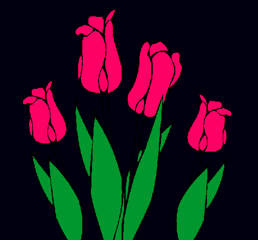 Tulipanes