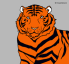 Dibujo Tigre pintado por iiiri