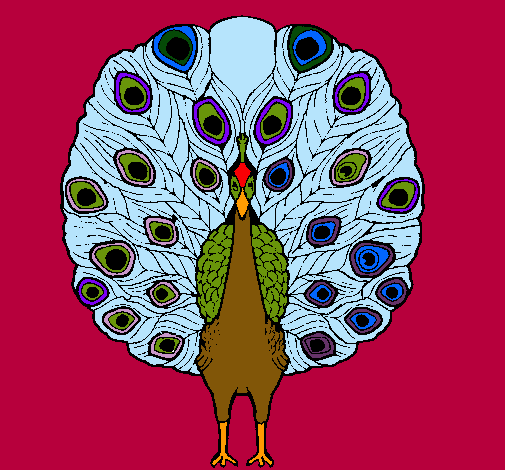 Pavo real