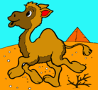 Dibujo Camello pintado por juliyani