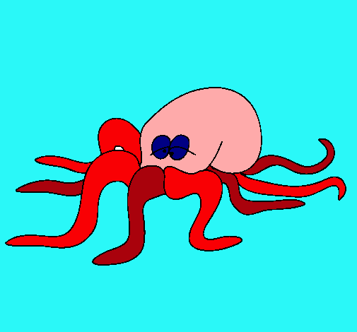 Pulpo