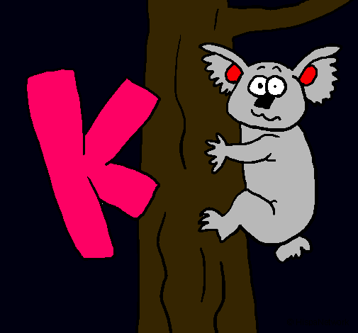 Koala