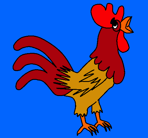 Gallo