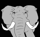 Dibujo Elefante africano pintado por lindaoh741