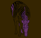 Dibujo Cebra pintado por zebrita
