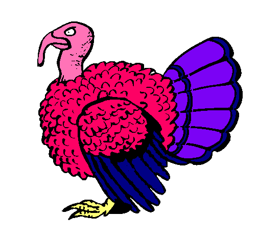 Pavo 