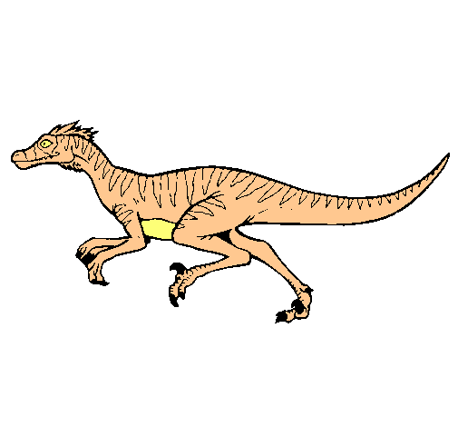 Velociraptor