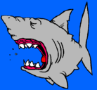 Dibujo Tiburón pintado por lautimiras