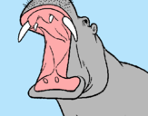 Dibujo Hipopótamo con la boca abierta pintado por nahuel2011
