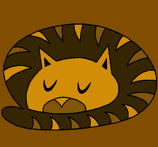 Gato durmiendo