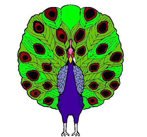 Pavo real