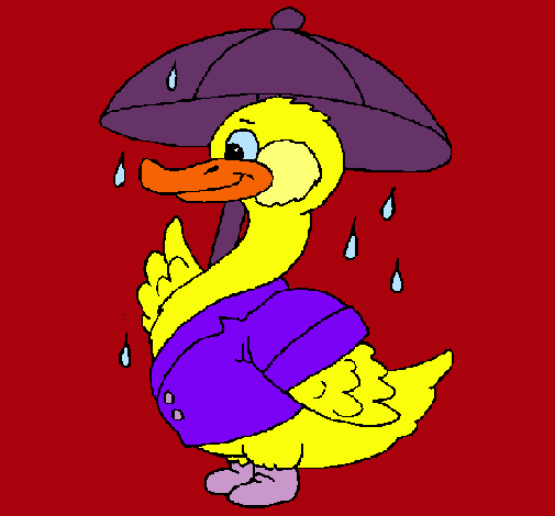 Pato bajo la lluvia