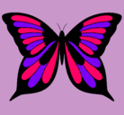 Dibujo Mariposa 8 pintado por coquito