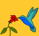 Dibujo Colibrí y una flor pintado por ISOLINA