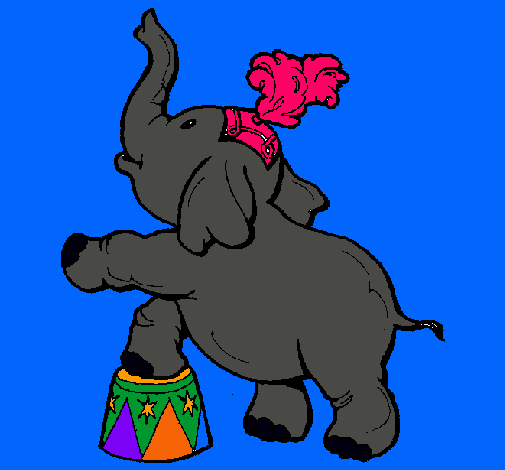 Elefante