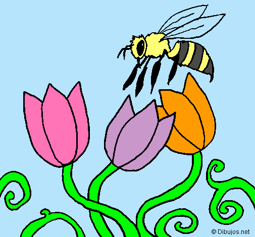 Abeja