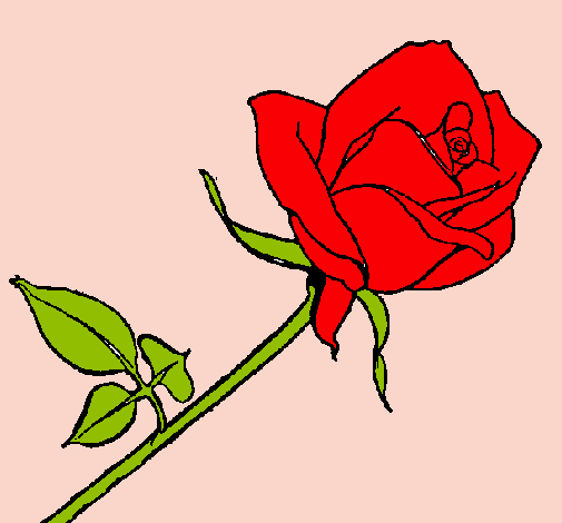 Dibujo Rosa pintado por HABY