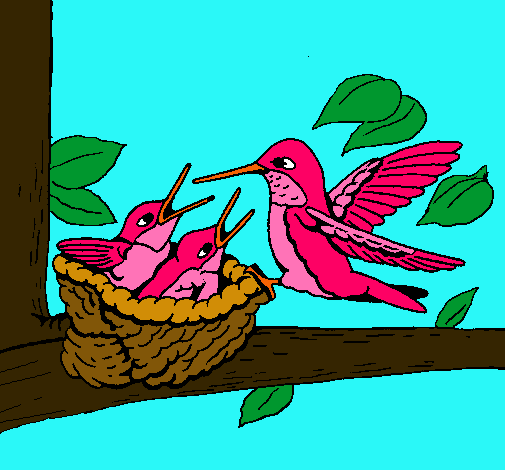 Familia colibrí