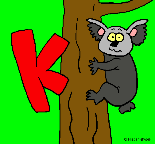 Koala