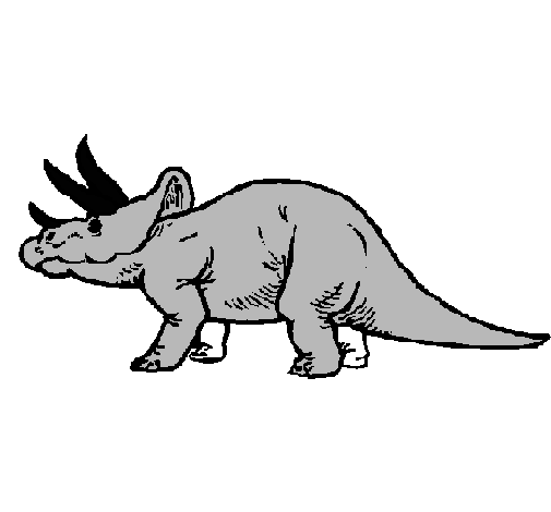 Triceratops