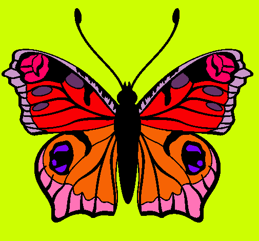 Dibujo Mariposa  pintado por michell