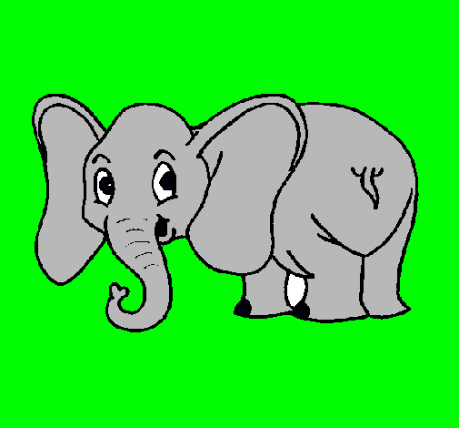 Elefante pequeño