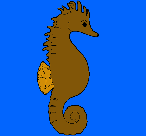 Caballito de mar