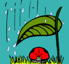 Dibujo Mariquita protegida de la lluvia pintado por ISOLINA