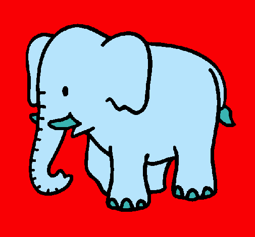 Elefante bebe