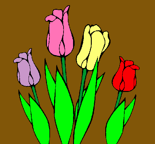 Tulipanes