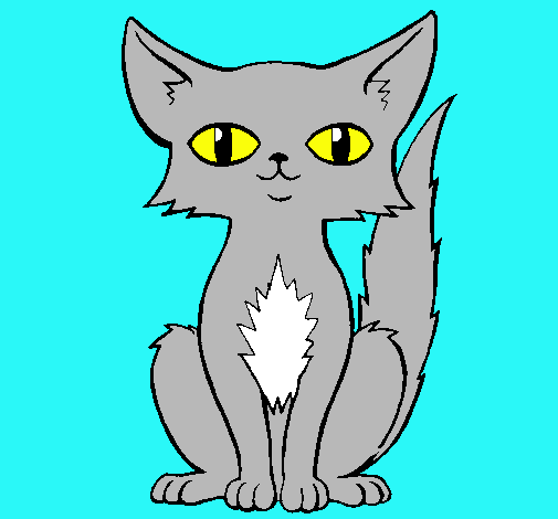 Dibujo Gato persa pintado por animalword