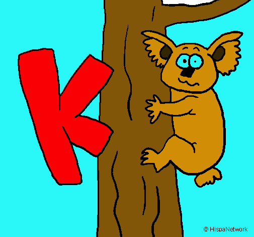 Koala