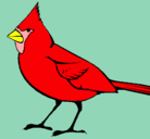 Dibujo Cardinal pintado por animalword