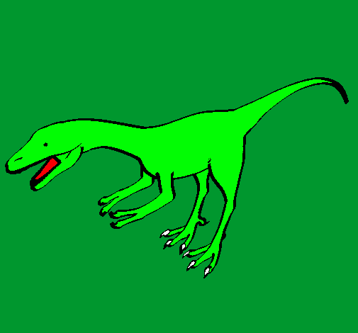 Dibujo Velociraptor II pintado por animalword