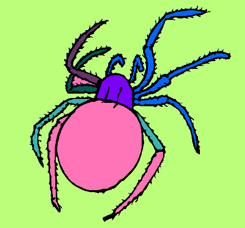 Araña venenosa