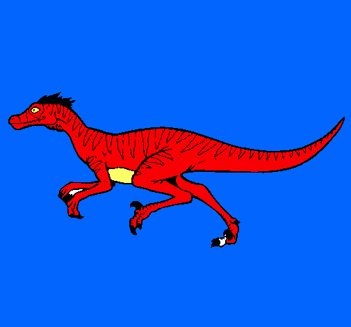 Velociraptor