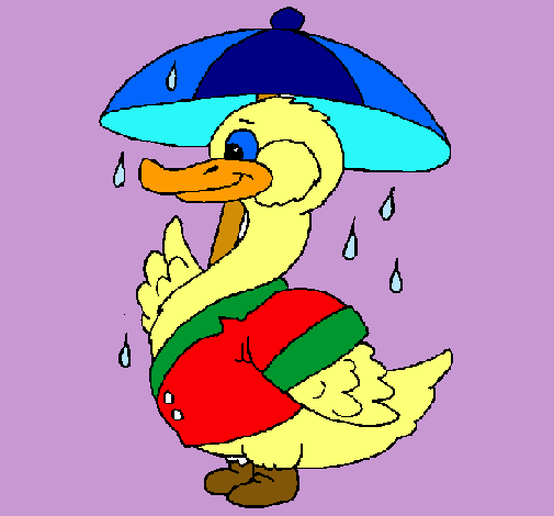 Pato bajo la lluvia