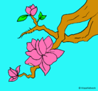 Dibujo Flor de almendro pintado por durazno
