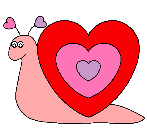 Caracol corazón