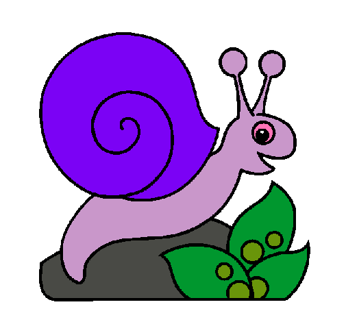 Caracol