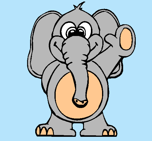 Elefante 2