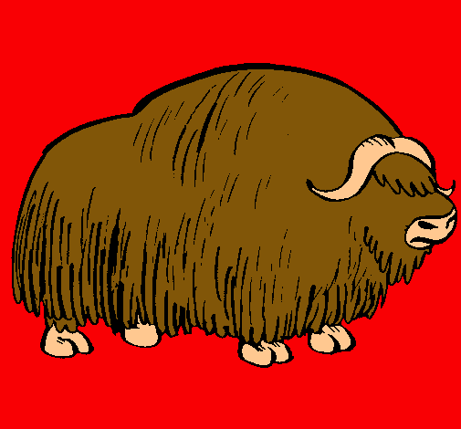 Bisonte