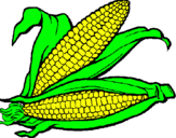 Dibujo Mazorca de maíz pintado por arlett