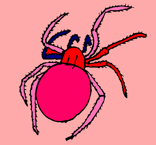 Araña venenosa