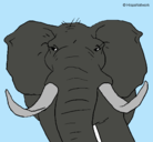 Dibujo Elefante africano pintado por dgdruy654654