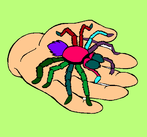 Tarántula