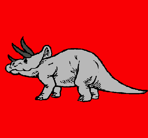 Triceratops