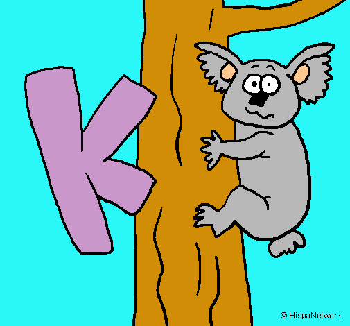 Koala