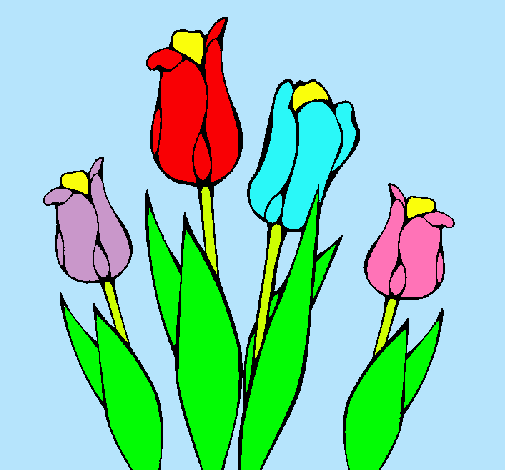 Tulipanes