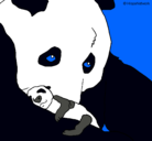 Dibujo Oso panda con su cria pintado por animalword
